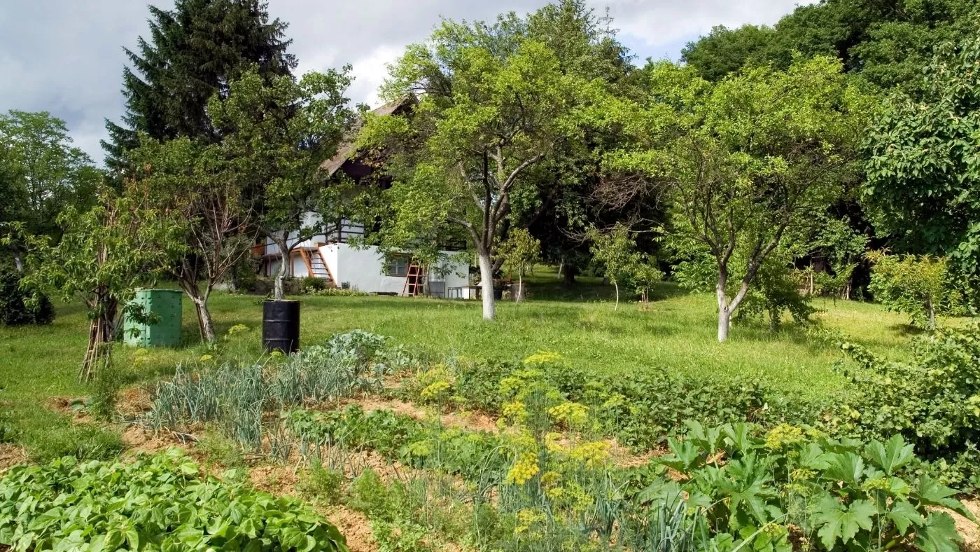 Hogyan alakíts ki fenntartható kertet?