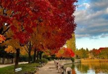 Tata őszi pompában