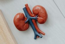 Magas vagy alacsony kreatinin? Ezt árulja el rólad a laboreredmény