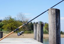 Nyári horgászat: a fermentált etetőanyagok előnyei