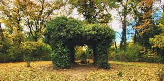 A dénesfai Cziráky-kastély – emlékezés a fák alatt