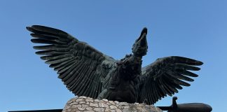 Tatabányai túrázás a Turul és a Szelim-barlang környékén Turul