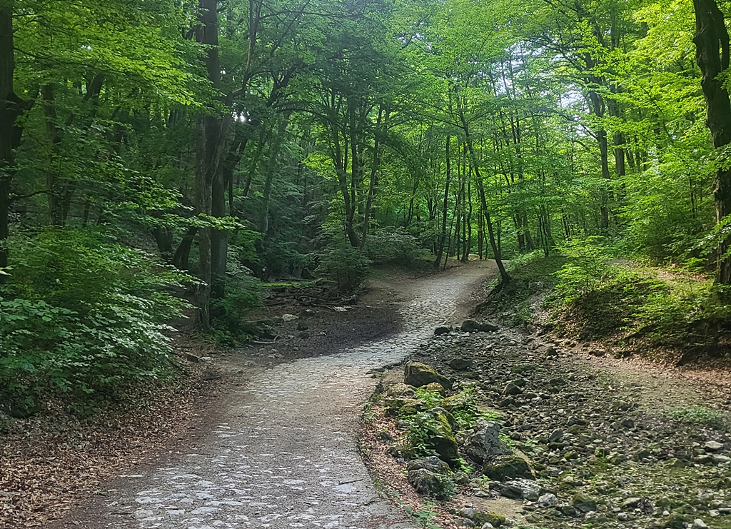 Cuha-völgye