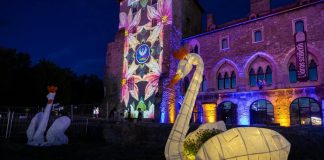 Saját digitális hasonmása hívja fesztiválozni a tataiakat – Újító kampánnyal indul a tatai Víz, Zene, Virág Fesztivál