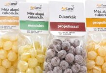 A méhek ajándéka nem csak a méz – ismerd meg a propoliszt!